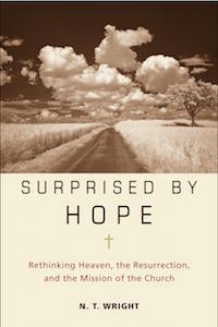Surprised_by_Hope_hc_c